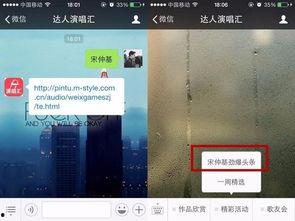 最新爆料娱乐头条,神秘事件引发热议，真相即将揭晓！